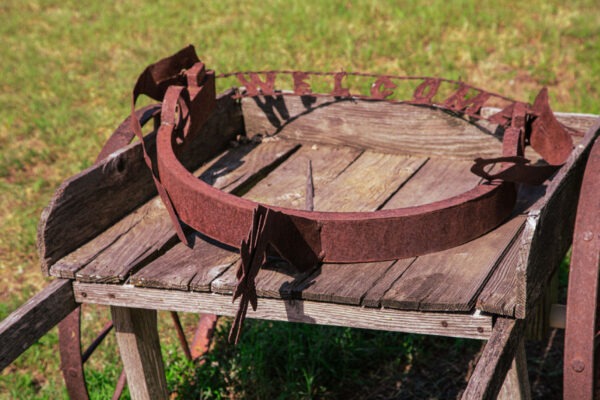 Rustic-Spur-Vineyards-Harvest---5